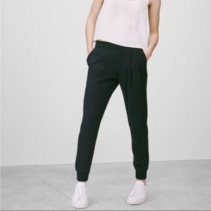 Babaton black trousers. Purchased at Aritzia. Jogger style pleated trousers.